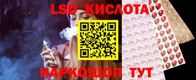 стаф Будённовск