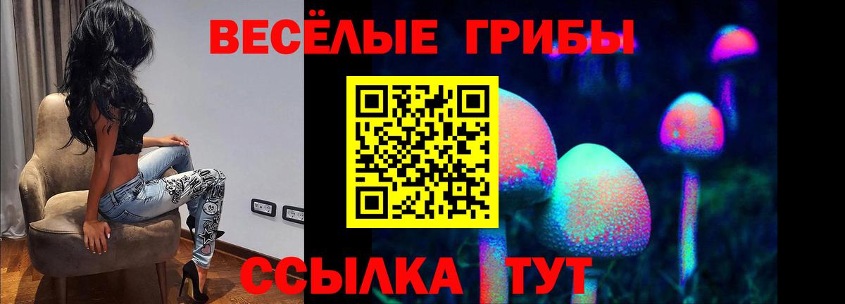 Мариинск  Галлюциногенные грибы Magic Shrooms  Вход с VPN  купить наркотик  Галлюциногенные грибы Psilocybe 